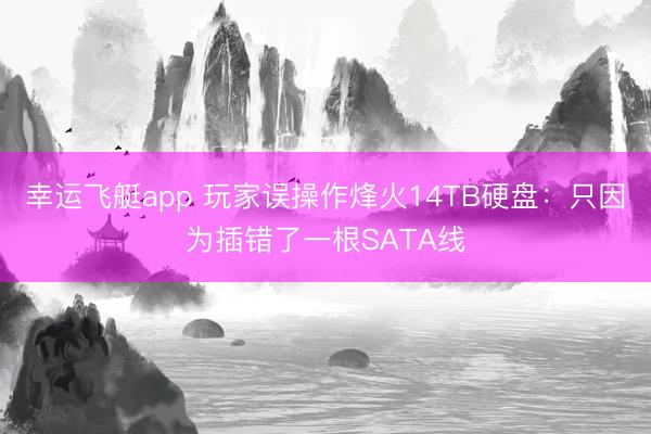幸运飞艇app 玩家误操作烽火14TB硬盘：只因为插错了一根SATA线