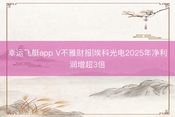 幸运飞艇app V不雅财报|埃科光电2025年净利润增超3倍